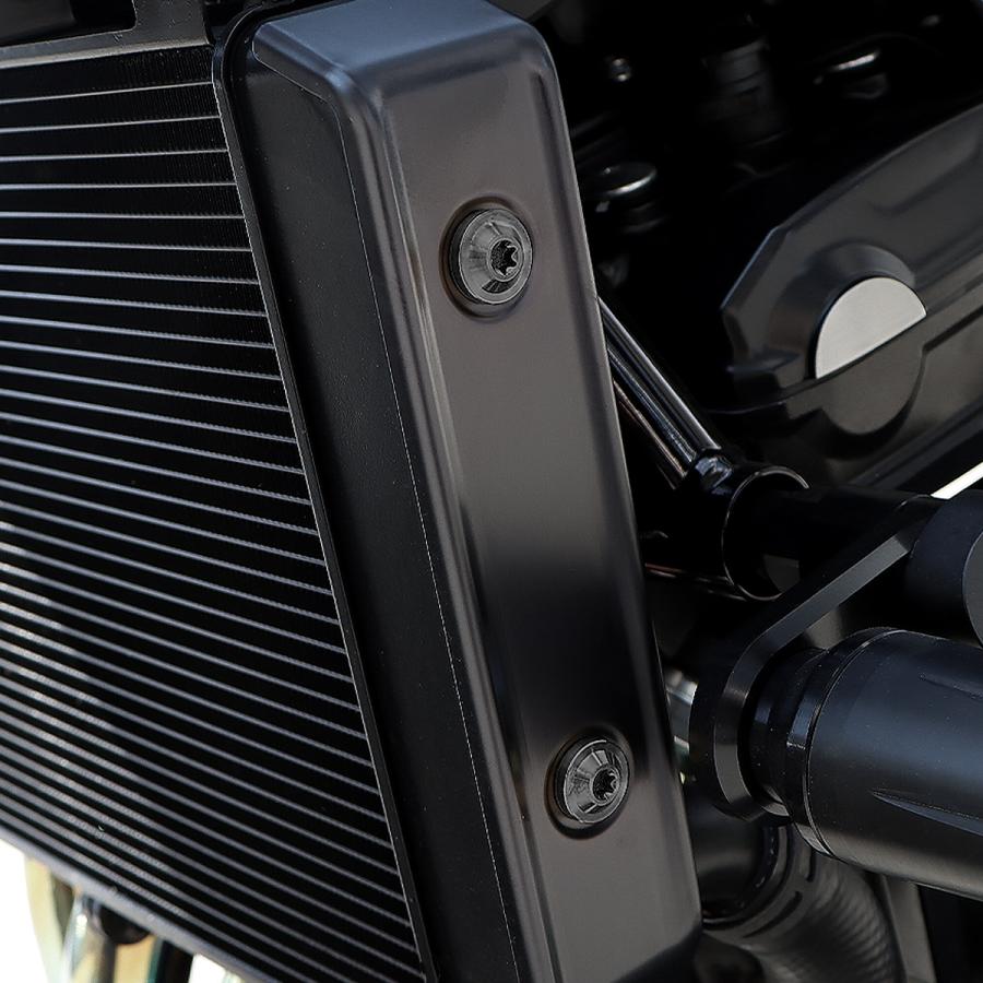 TECH-MASTER (テックマスター) Z900RS / CAFE 64チタン ラジエターサイドカバー用ボルト 4本セット ブラック BS0047 | カワサキ