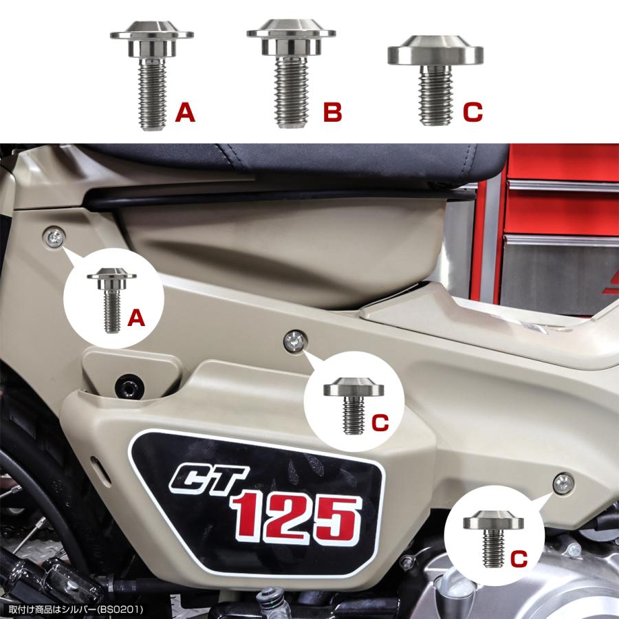 TECH-MASTER (テックマスター) CT125 ハンターカブ JA55 JA65 64チタン 外装カバー用ボルト 11本セット チタンカラー BS0203 | ホンダ | 04