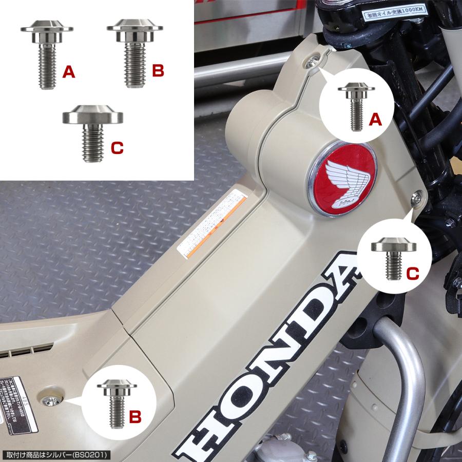 TECH-MASTER (テックマスター) CT125 ハンターカブ JA55 JA65 64チタン 外装カバー用ボルト 11本セット チタンカラー BS0203 | ホンダ | 06