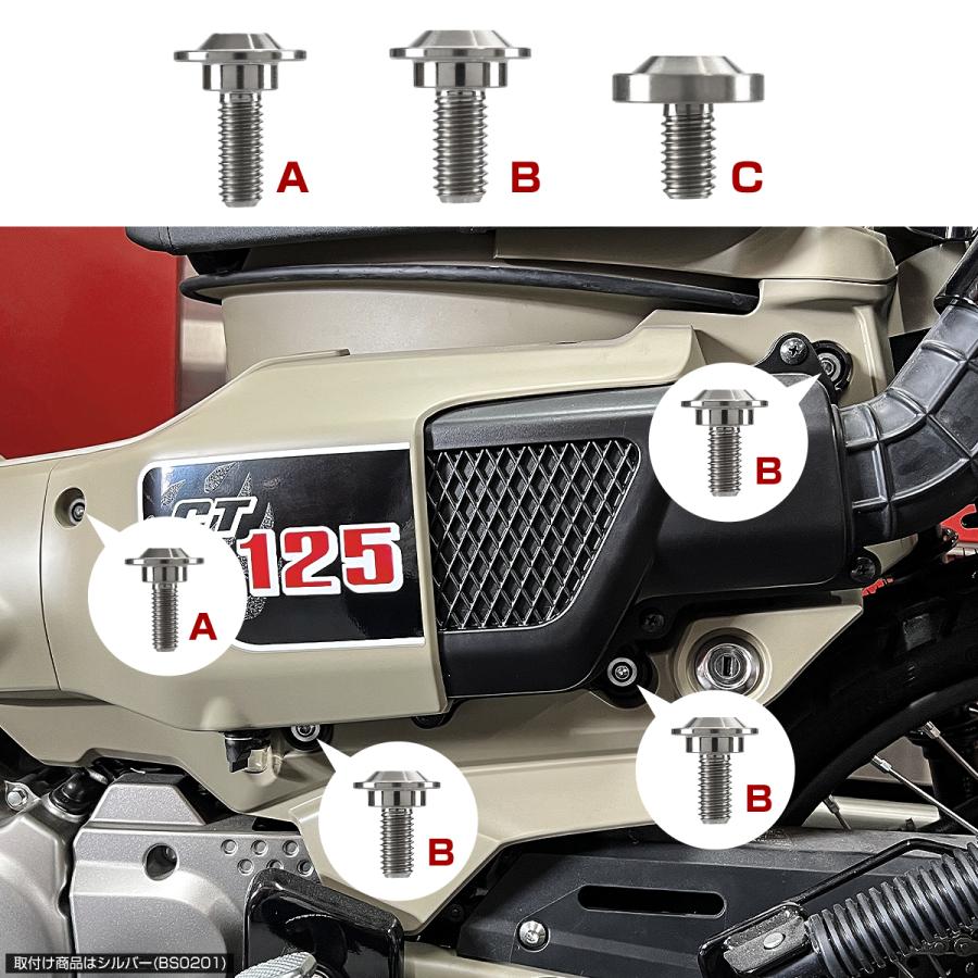 TECH-MASTER (テックマスター) CT125 ハンターカブ JA55 JA65 64チタン 外装カバー用ボルト 11本セット 焼きチタンカラー BS0204 | ホンダ | 05