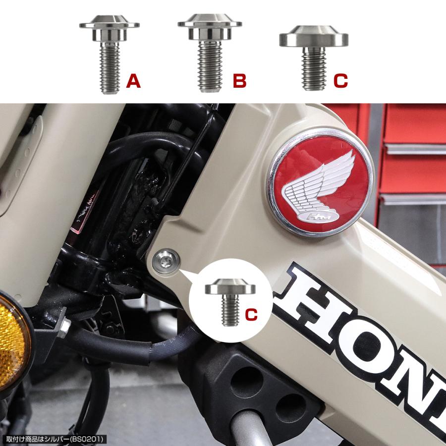 TECH-MASTER (テックマスター) CT125 ハンターカブ JA55 JA65 64チタン 外装カバー用ボルト 11本セット 焼きチタンカラー BS0204 | ホンダ | 07