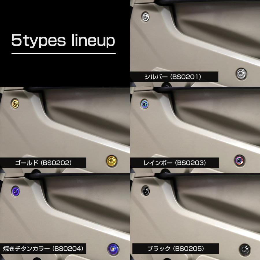 TECH-MASTER (テックマスター) CT125 ハンターカブ JA55 JA65 64チタン 外装カバー用ボルト 11本セット 焼きチタンカラー BS0204 | ホンダ | 08
