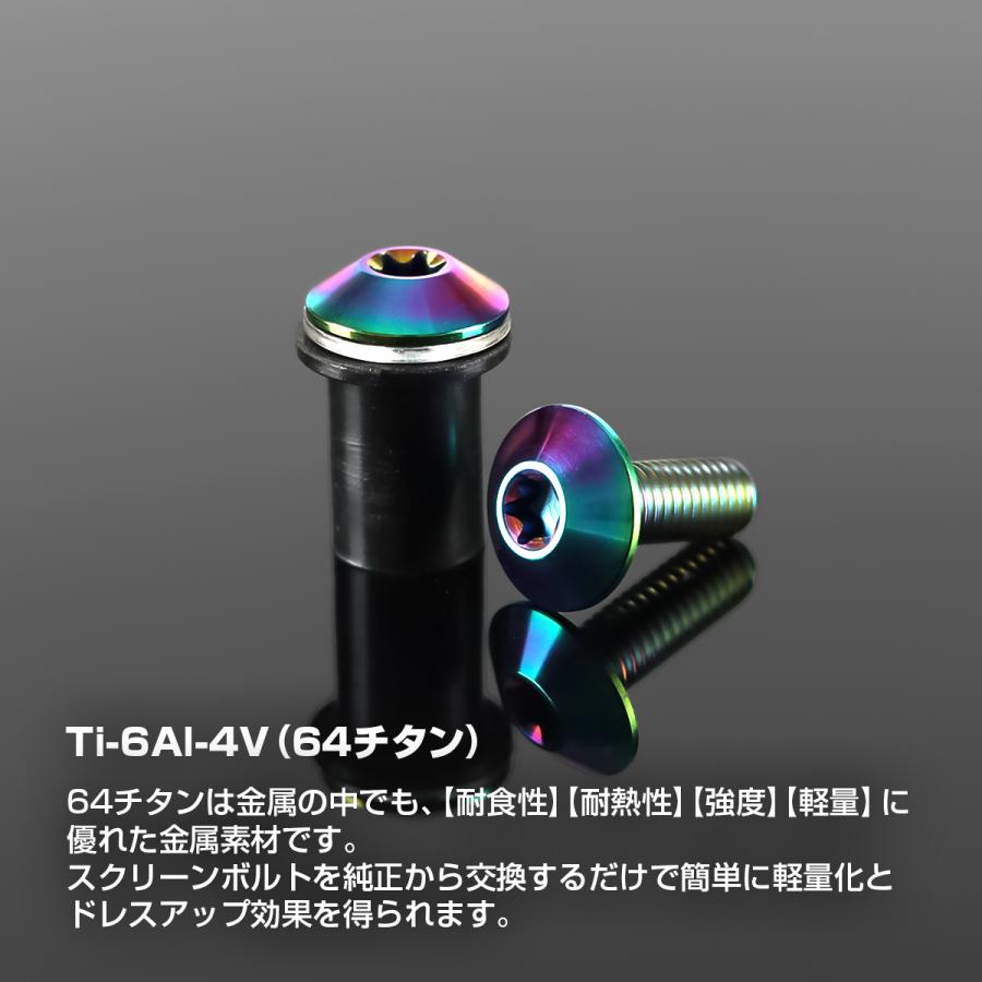 スクリーンボルト 64チタン製 6個セット ウェルナット PVCワッシャー セット カウル スクリーン カスタム ドレスアップ レインボー BS0226 | TECHーMASTER | 04