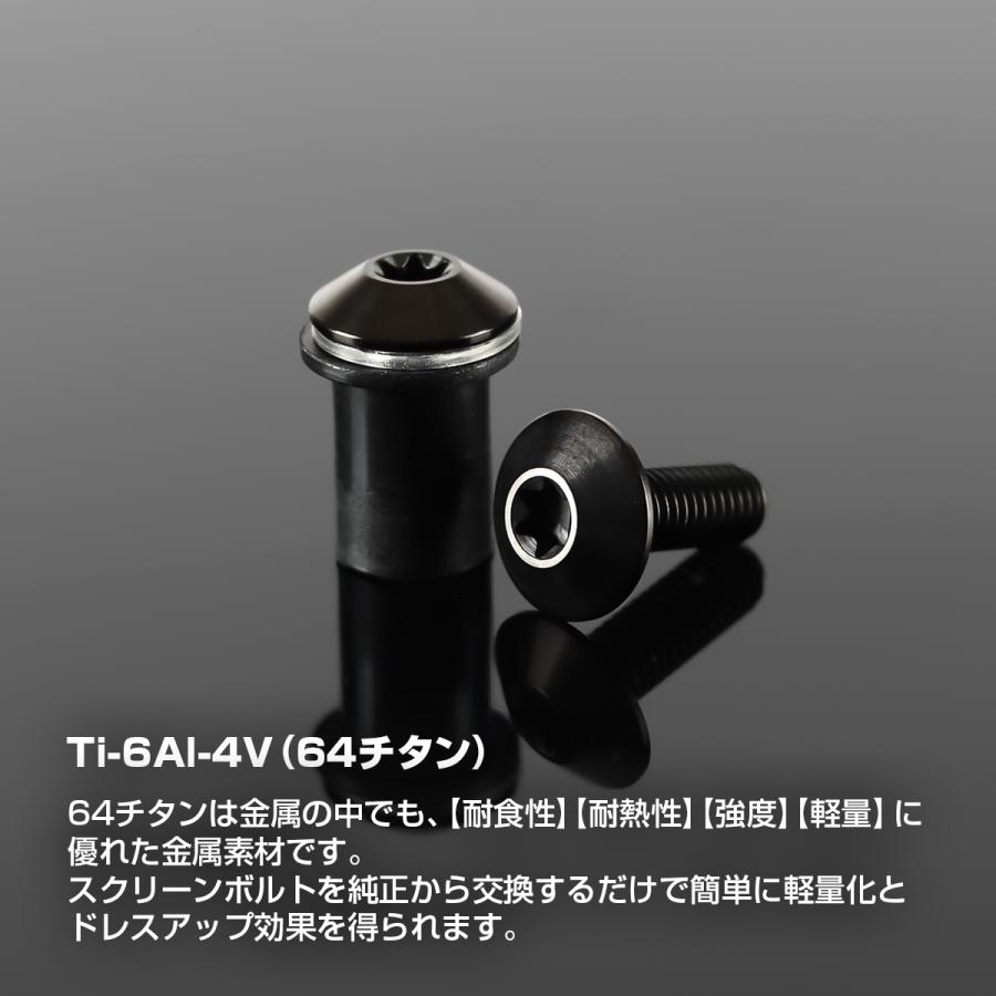 スクリーンボルト 64チタン製 6個セット ウェルナット PVCワッシャー セット カウル スクリーン カスタム ドレスアップ ブラック BS0228 | TECHーMASTER | 04