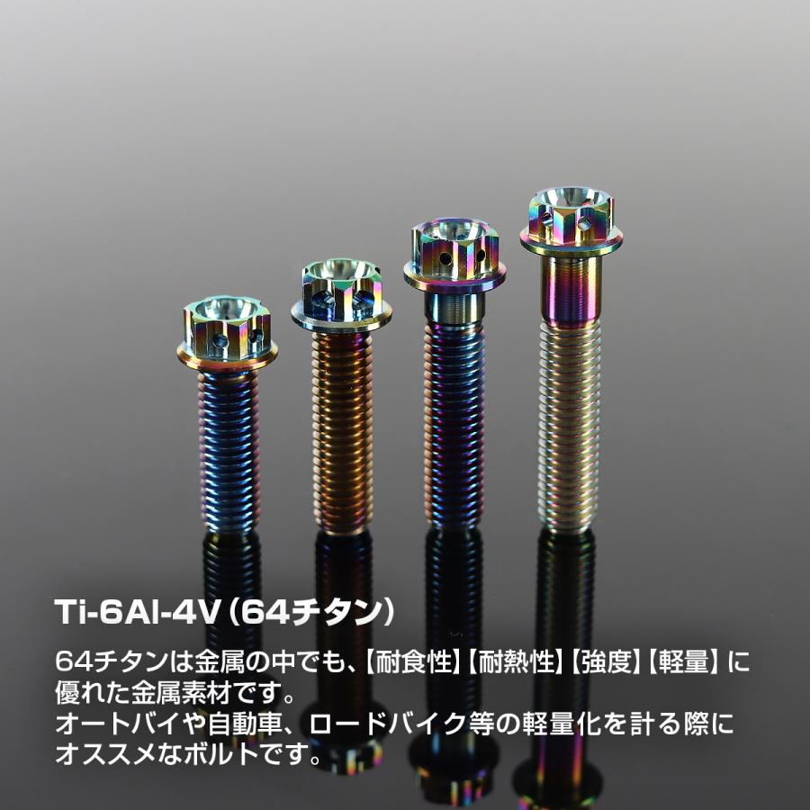 チタンボルト M8×25mm P1.25 ホールヘッド 六角ボルト フランジ付 チタンカラー 1個 JA060 | TECHーMASTER | 01