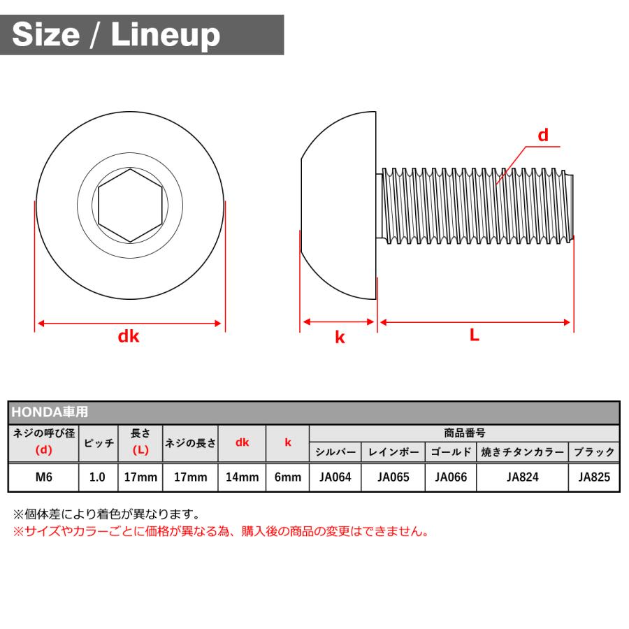 64チタン ブレーキディスク ローター ボルト M6×17mm P1.0 ホンダ車用 HONDA シルバーカラー JA064｜tmst｜02