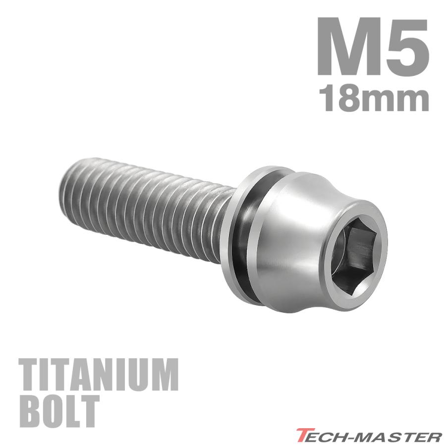 チタンボルト M5×18mm P0.8 ワッシャー組込 ステムボルト 六角穴