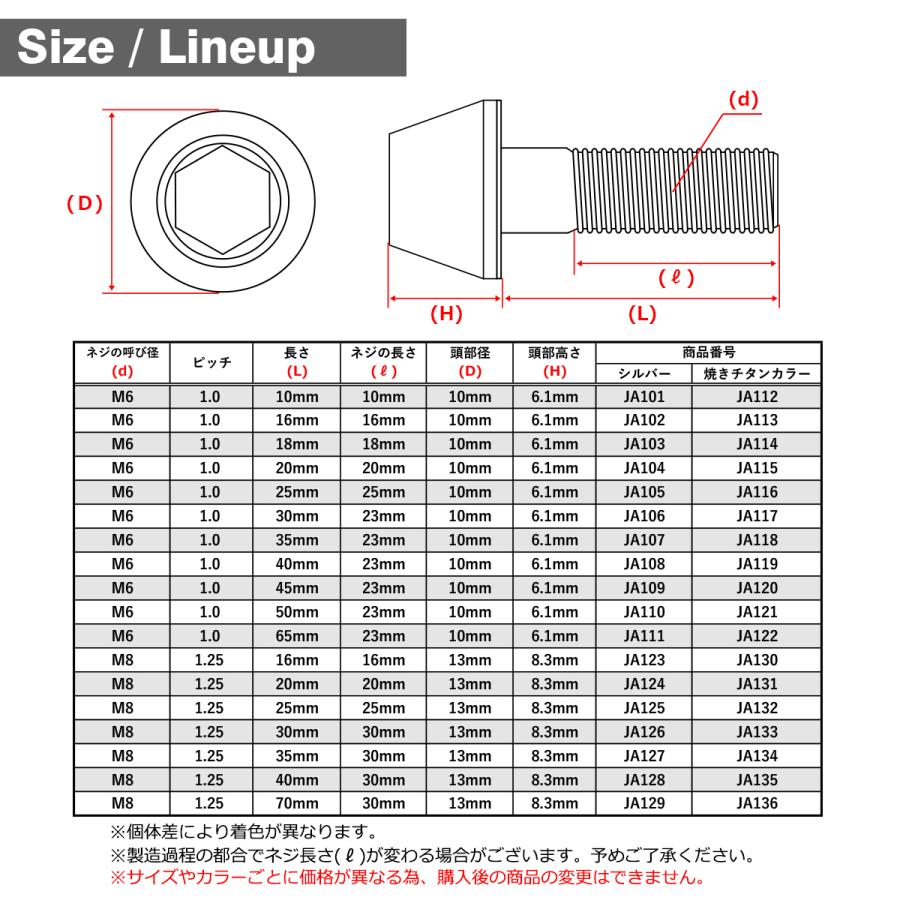 チタンボルト M6×10mm P1.0 テーパーヘッド 六角穴付き キャップボルト シルバー JA101 | TECHーMASTER | 01