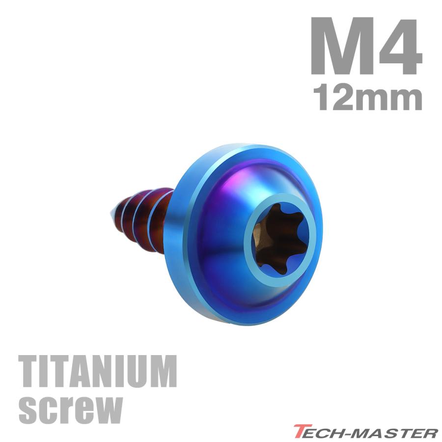 TECHーMASTER（テックマスター） チタンネジ M4×12mm タッピングビス