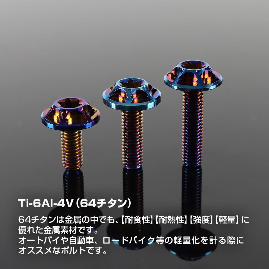 TECHーMASTER（テックマスター） チタンボルト M6×15mm P1.0 トルクス