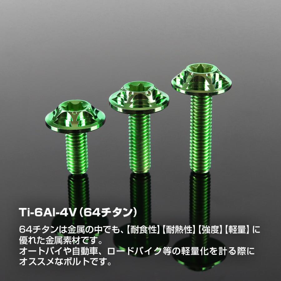 TECHーMASTER（テックマスター） チタンボルト M6×20mm P1.0 トルクス