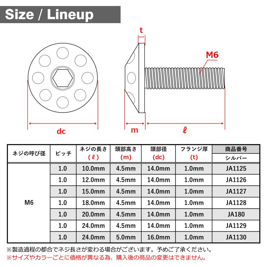 TECHーMASTER（テックマスター） チタンボルト M6×12mm P1.0 頭部径