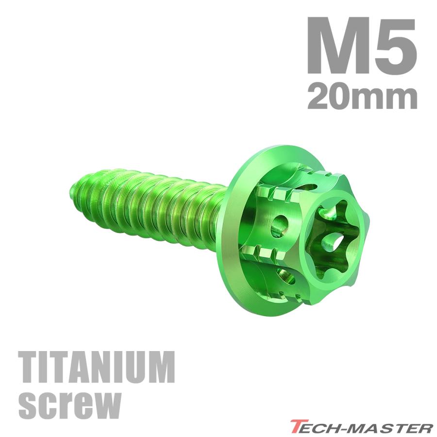 TECHーMASTER（テックマスター） チタンネジ M5×20mm タッピングビス