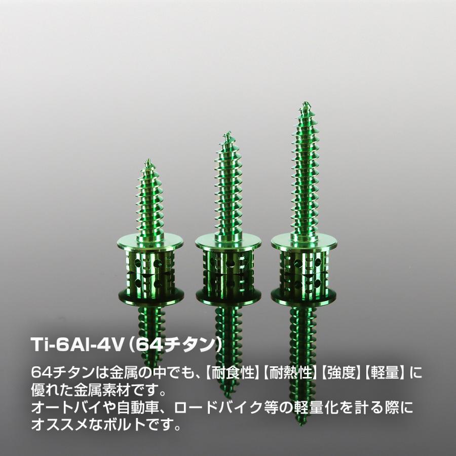 ねね出品！ TECHーMASTER（テックマスター） チタンネジ M5×20mm タッピングビス