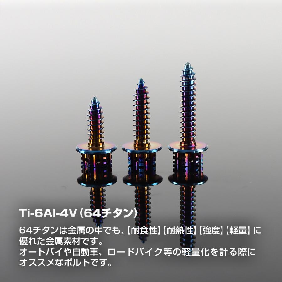 チタンネジ M5×20mm タッピングビス トルクス穴付き 焼きチタンカラー