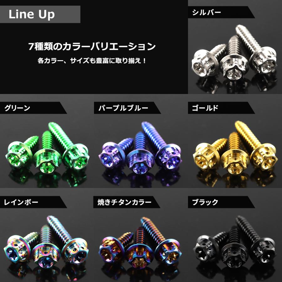 チタンネジ M5×20mm タッピングビス トルクス穴付き 焼きチタン