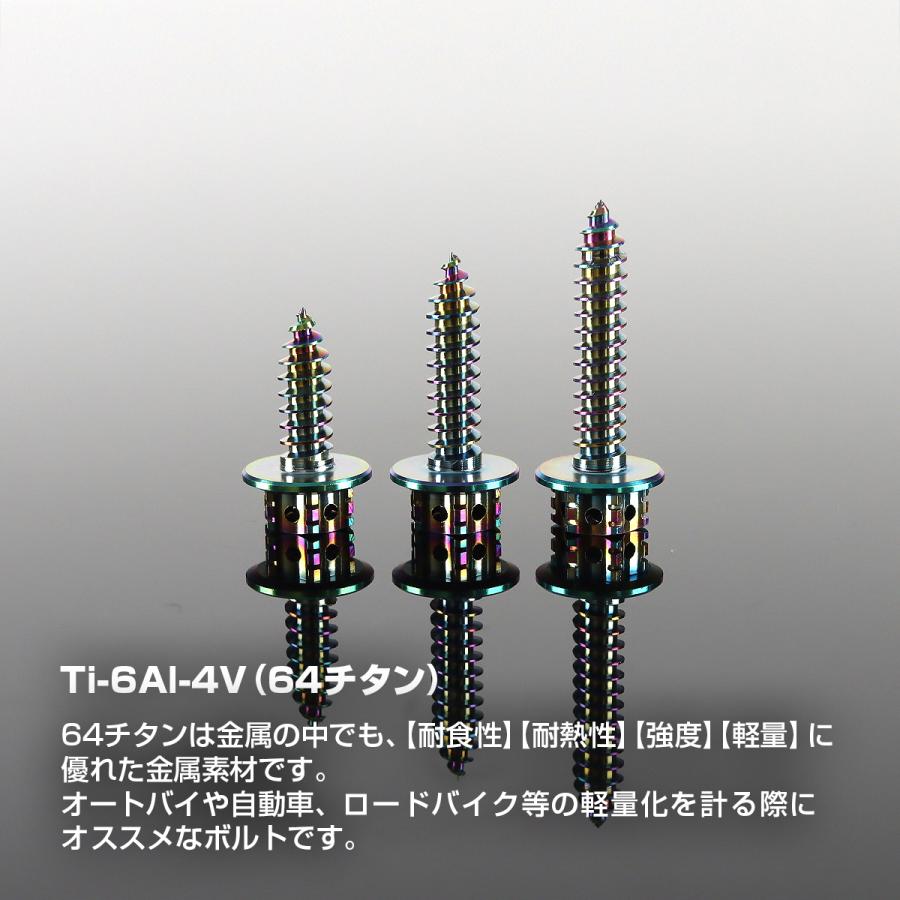 TECHーMASTER（テックマスター） チタンネジ M5×25mm タッピングビス