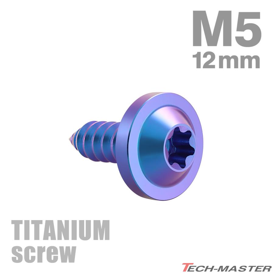 TECHーMASTER（テックマスター） チタンネジ M5×12mm タッピングビス