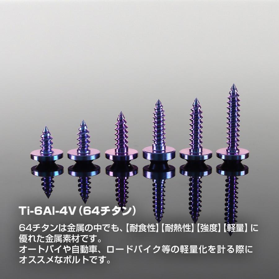 TECHーMASTER（テックマスター） チタンネジ M5×12mm タッピングビス