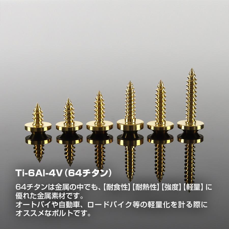 TECHーMASTER（テックマスター） チタンネジ M5×15mm タッピングビス