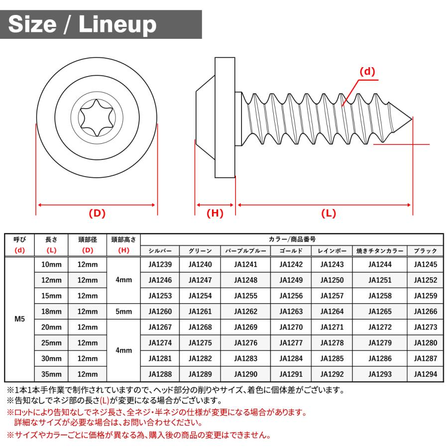 TECHーMASTER（テックマスター） チタンネジ M5×15mm タッピングビス