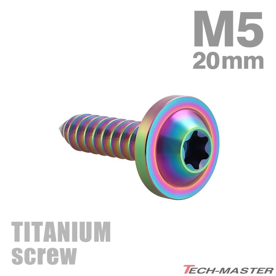 TECHーMASTER（テックマスター） チタンネジ M5×20mm タッピングビス