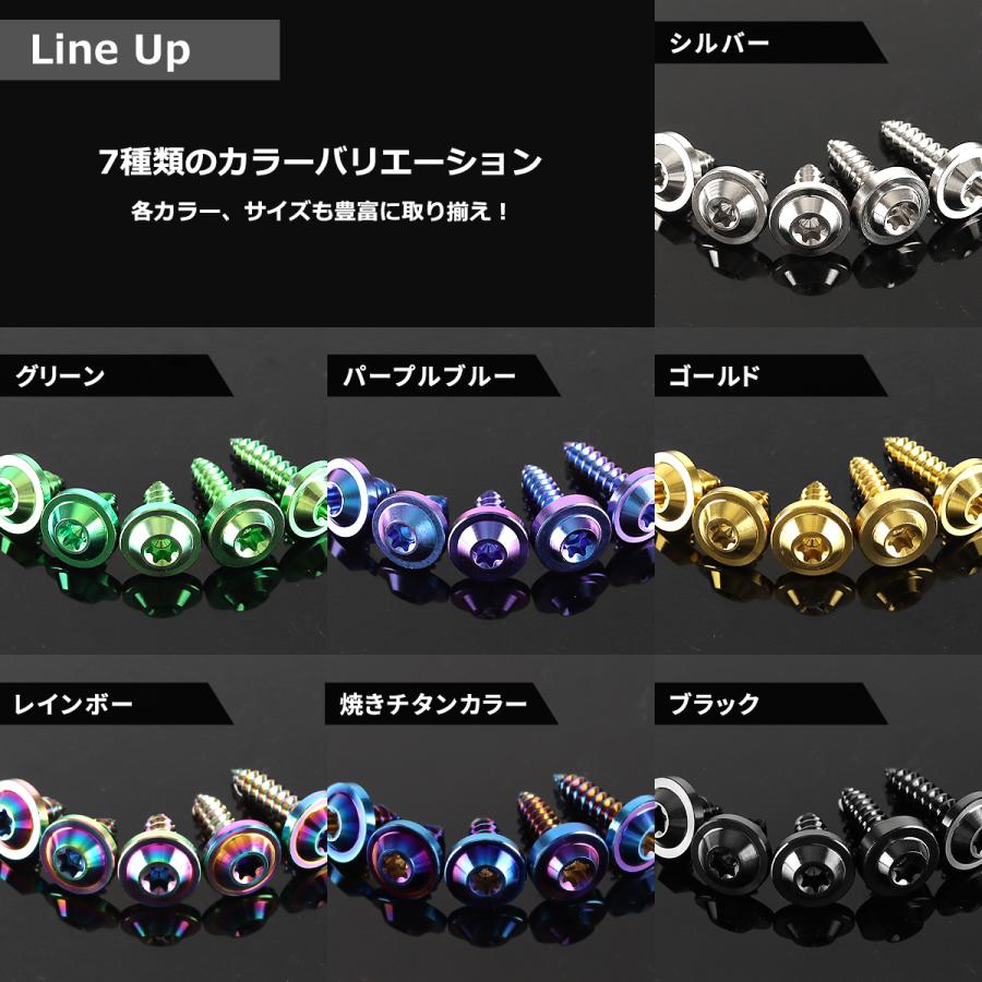 【mmm05】速達 チタンネジ M5×35mm タッピングビス トルクス穴付き ブラック 1