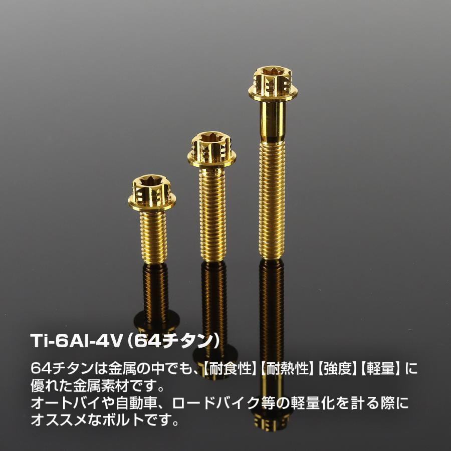 TECHーMASTER（テックマスター） チタンボルト M6×35mm P1.0 フランジ