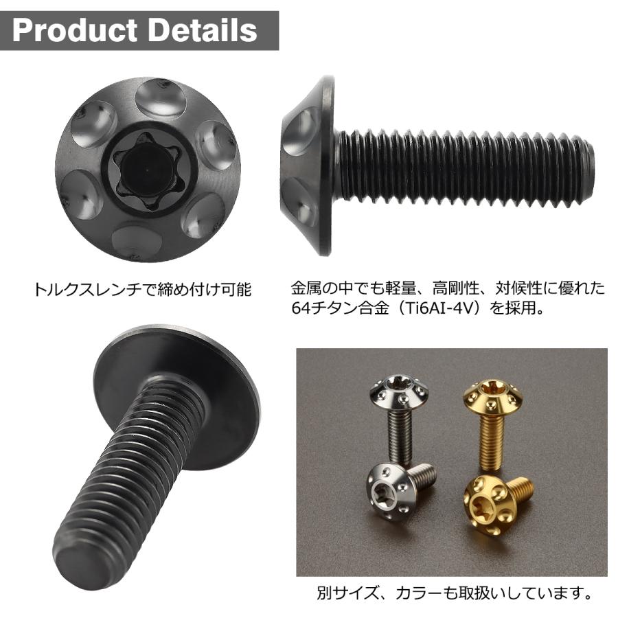 チタンボルト M6×20mm P1.0 ボタンボルト トルクス穴 ワイド