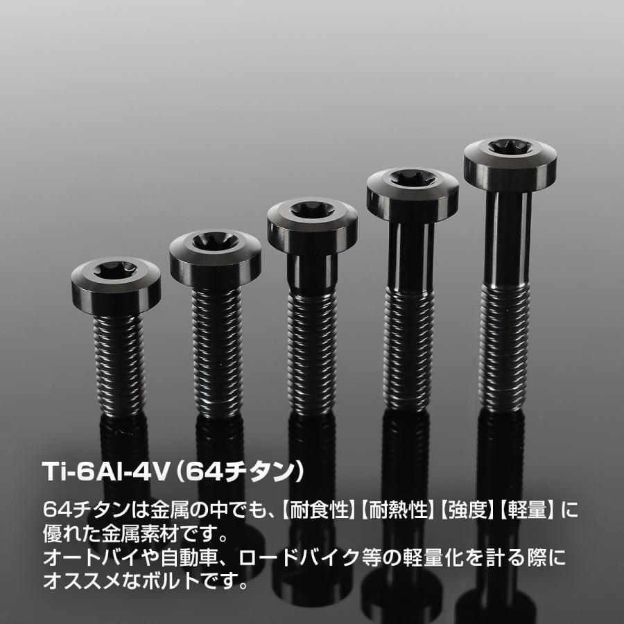 チタンボルト M8×20mm P1.25 低頭 ローヘッド トルクス穴