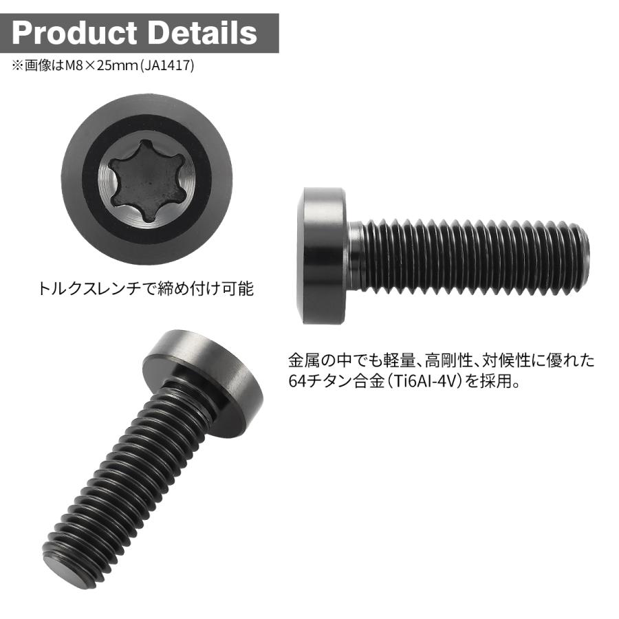 チタンボルト M8×20mm P1.25 低頭 ローヘッド トルクス穴 チタンボルト M8×20mm P1.25 低頭 ローヘッド トルクス穴