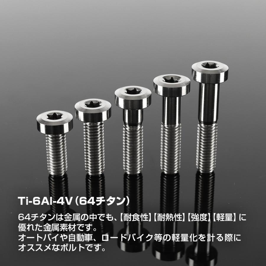 チタンボルト M8×30mm P1.25 低頭 ローヘッド トルクス穴