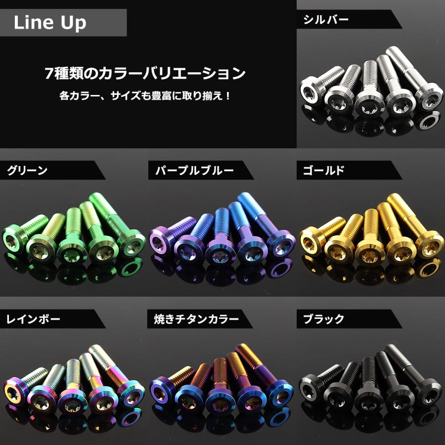 TECHーMASTER（テックマスター） チタンボルト M8×30mm P1.25 低頭