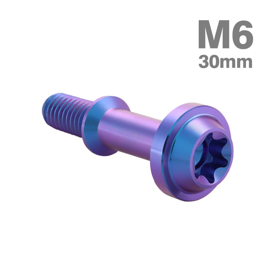 チタンボルト シグナス4-5代目 FORCE BW'S CVTケースカバーボルト M6×30mm ヤマハ車用 パープルブルー 1本 JA1441 | TECHーMASTER