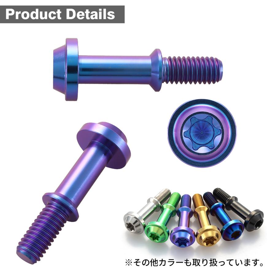 チタンボルト シグナス4-5代目 FORCE BW'S CVTケースカバーボルト M6×30mm ヤマハ車用 パープルブルー 1本 JA1441 | TECHーMASTER | 02