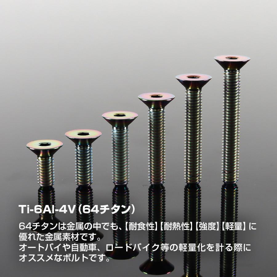 チタンボルト M5×15mm P0.8 皿ボルト 六角穴付き キャップボルト レインボー 1個 JA1503 | TECHーMASTER | 01