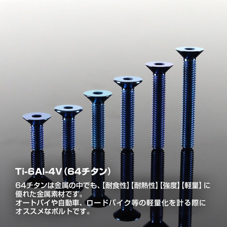 チタンボルト M5×30mm P0.8 皿ボルト 六角穴付き キャップボルト ブルー 1個 JA1522 | TECHーMASTER | 01