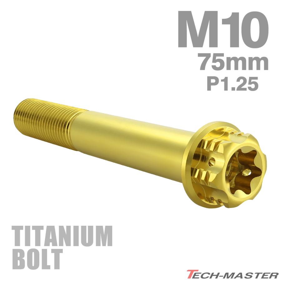 TECHーMASTER（テックマスター） チタンボルト M10×75mm P1.25
