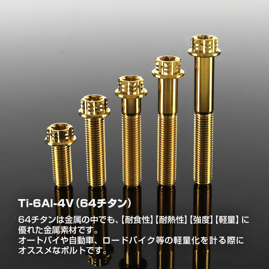 TECHーMASTER（テックマスター） チタンボルト M10×75mm P1.25