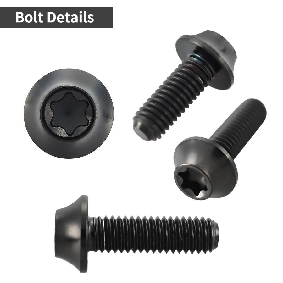 チタンボルト M6×20mm P1.0 湾曲テーパーヘッド トルクス穴 キャップボルト ブラック JA1712 | TECHーMASTER | 02