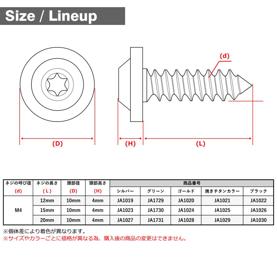TECHーMASTER（テックマスター） チタンネジ M4×15mm タッピングビス
