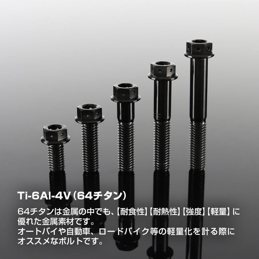 TECHーMASTER（テックマスター） チタンボルト M8×20mm P1.25 六角