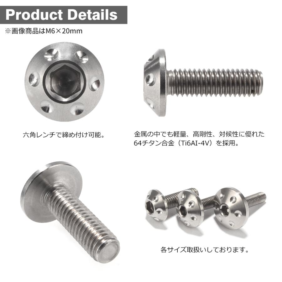 チタンボルト M6×20mm P1.0 頭部径14mm ボタンボルト 六角穴 ワイドフランジ シルバーカラー 1個 JA180 | TECHーMASTER | 02