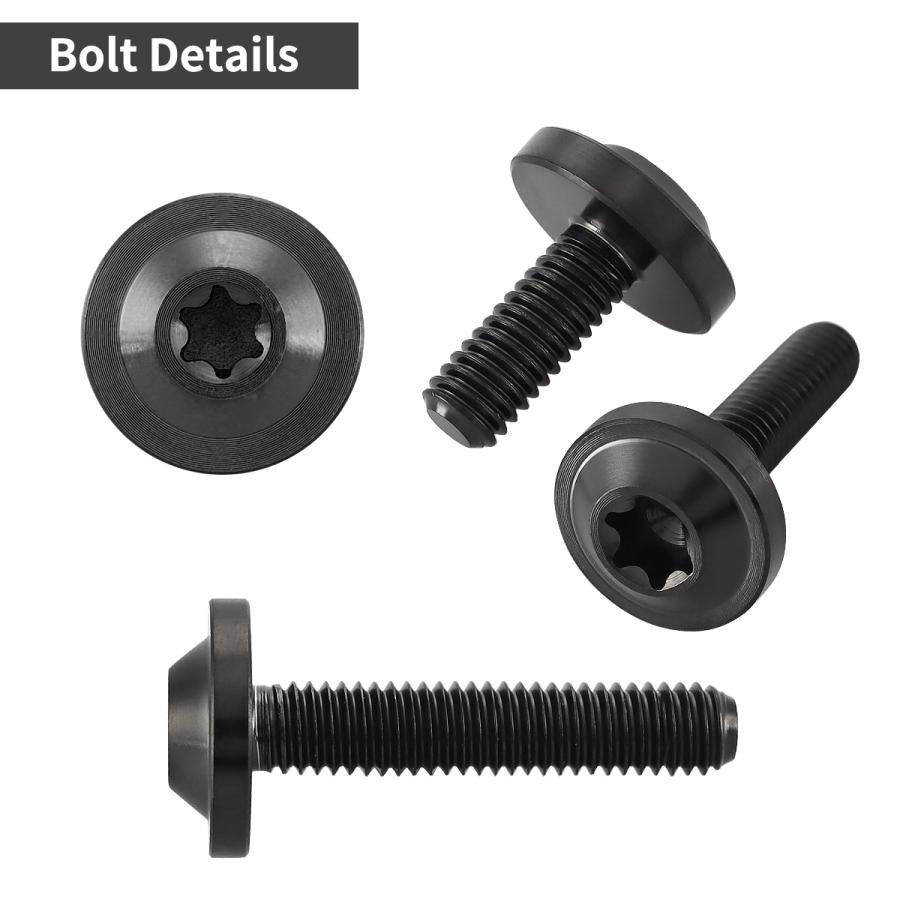 チタンボルト M6×20mm P1.0 トルクス穴 フランジ付き ボタンボルト ブラック 1個 JA1845 | TECHーMASTER | 02