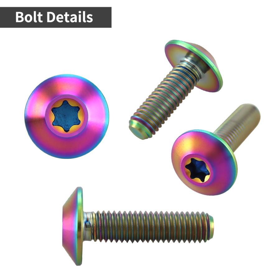 チタンボルト M5×20mm P0.8 テーパーヘッド トルクス穴 ボタンボルト チタンカラー レインボー 1個 JA1863 | TECHーMASTER | 02