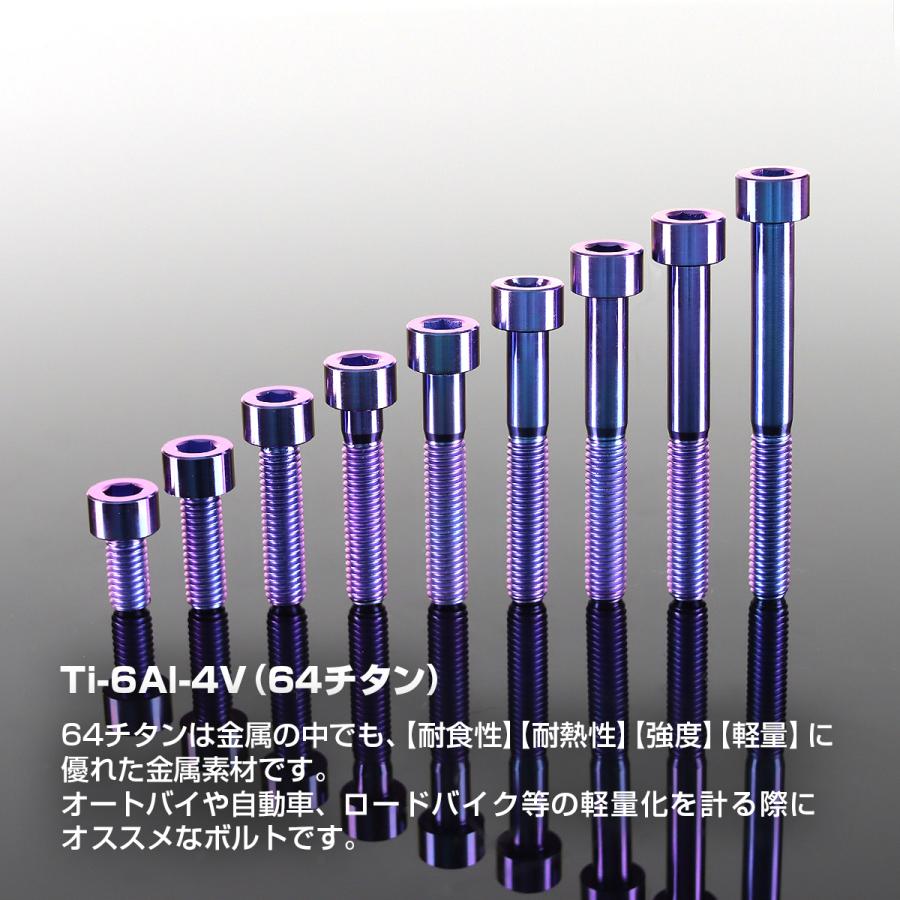 チタンボルト M6×30mm P1.0 ストレートキャップボルト スリムヘッド 六角穴付き パープルブルー 1個 JA1946 | TECHーMASTER | 01