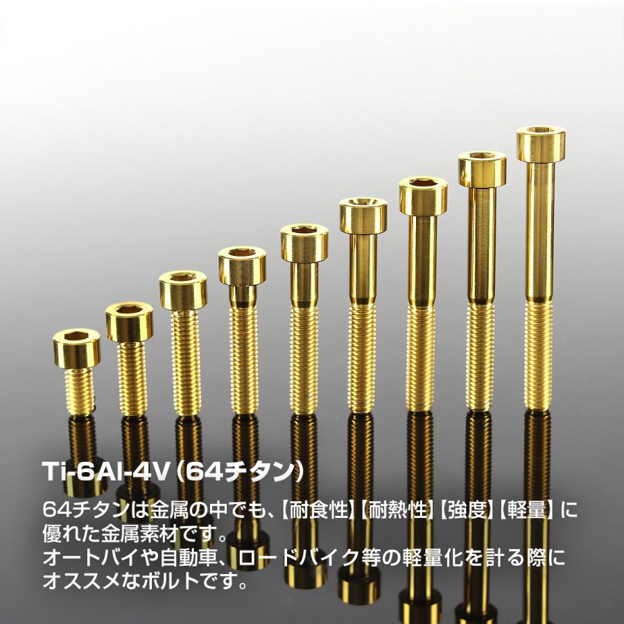 TECHーMASTER チタンボルト M6×65mm P1.0 ストレートキャップボルト