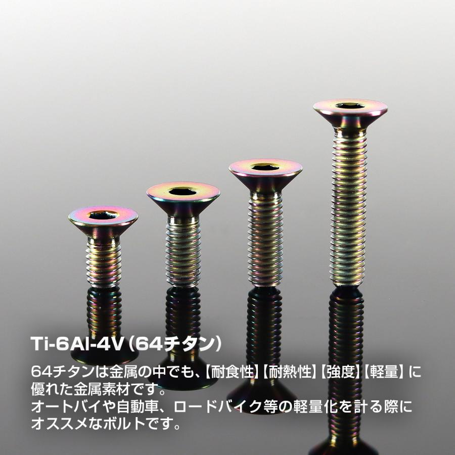 チタンボルト M3×8mm P0.5 皿ボルト 六角穴付き キャップボルト レインボー 1個 JA2065 | TECHーMASTER | 01