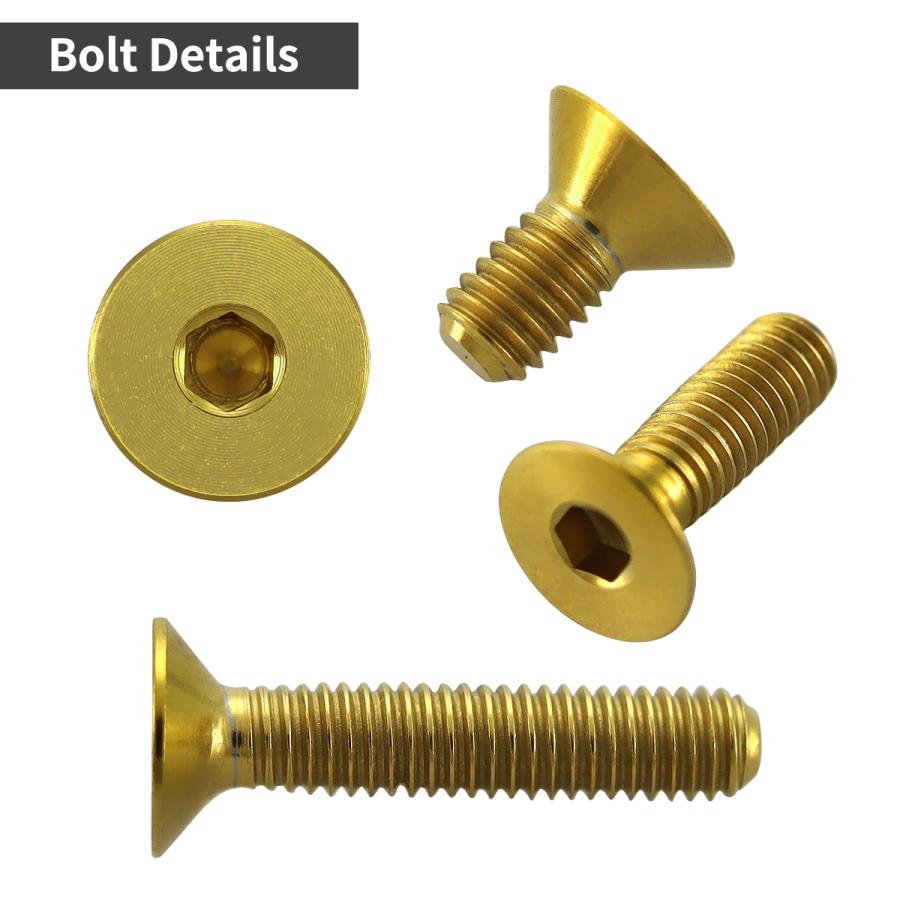 TECHーMASTER チタンボルト M3×10mm P0.5 皿ボルト 六角穴付き