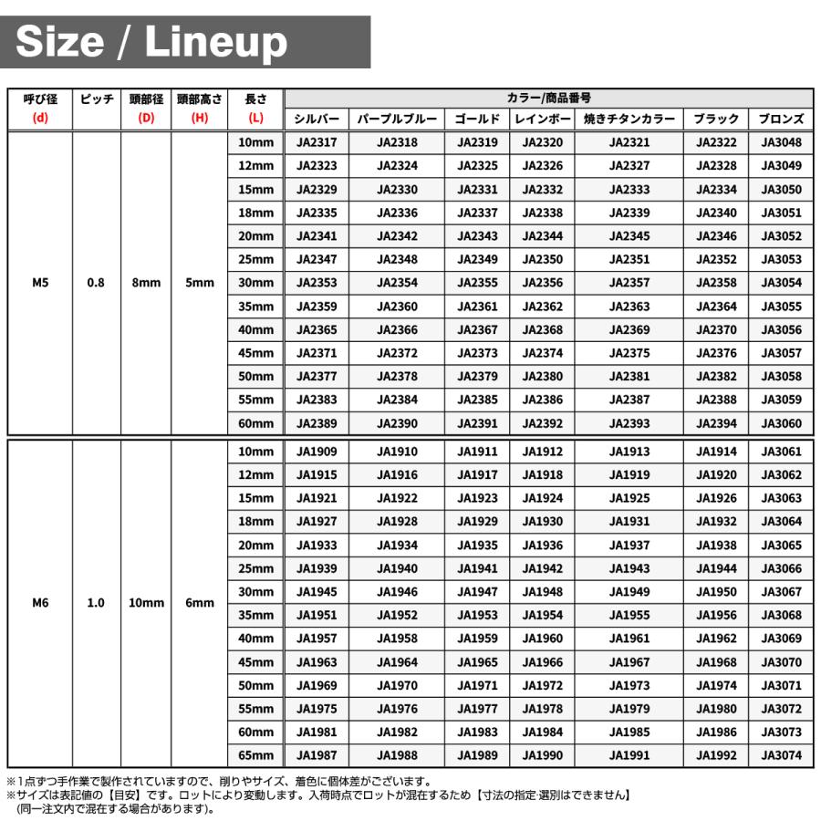チタンボルト M3×12mm P0.5 キャップボルト スリムヘッド キャップボルト 六角穴付き シルバーカラー 1個 JA2095 | TECHーMASTER | 05